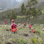 REFORESTATION (1st campaign) <br>Green project
